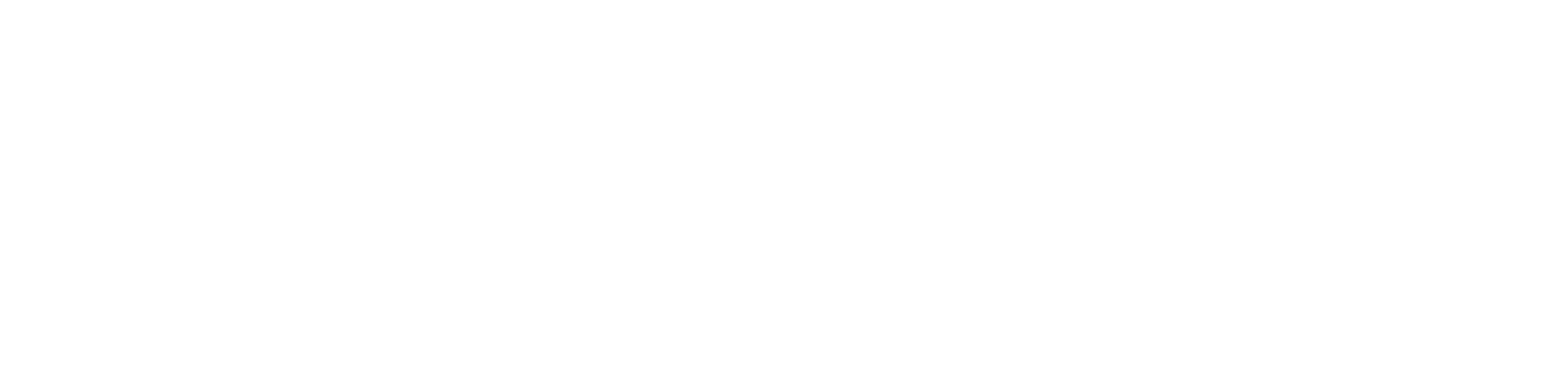 BM Protect